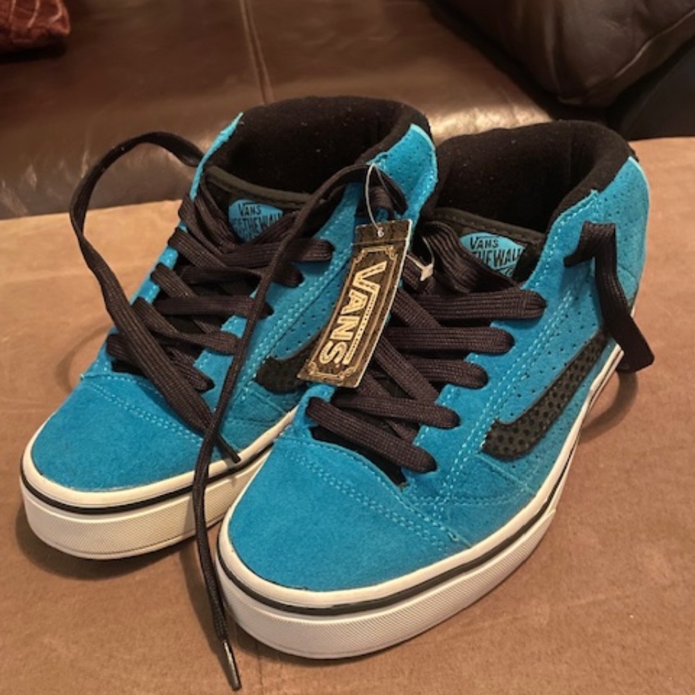 Vans Skate Shoes